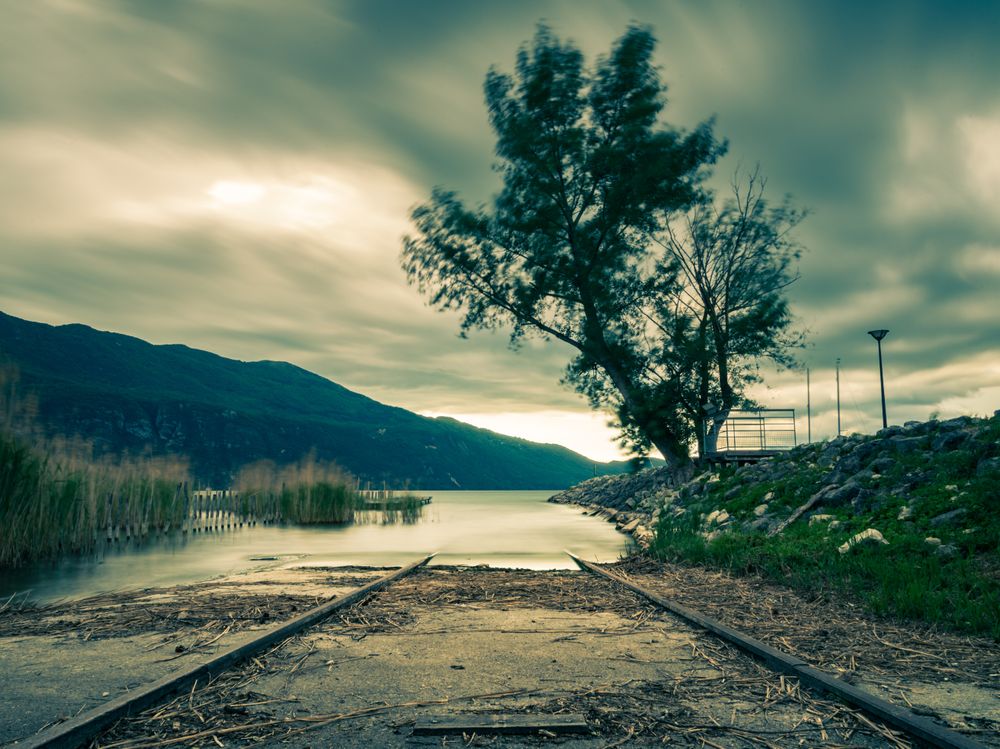 Derailed Mind