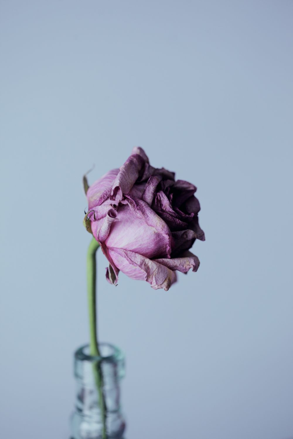 Lament